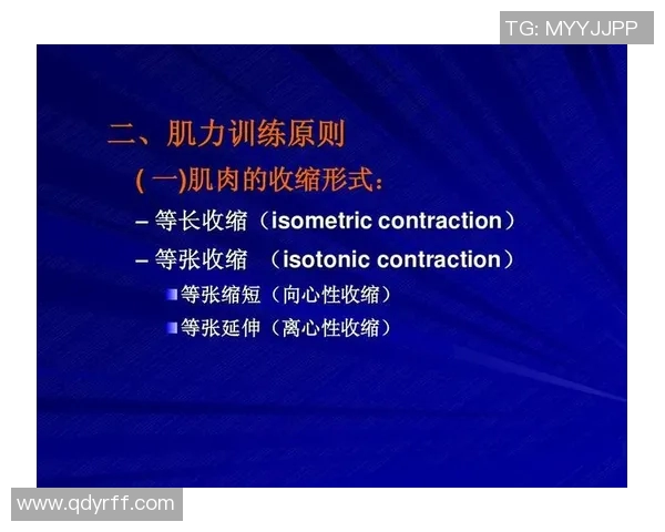 成都足球队耐力表现数据分析揭示球队体能训练与比赛成绩的关系