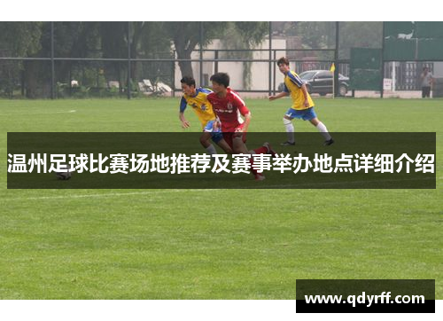 温州足球比赛场地推荐及赛事举办地点详细介绍